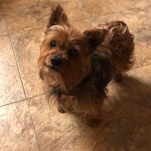 Meet your Posher, Janette